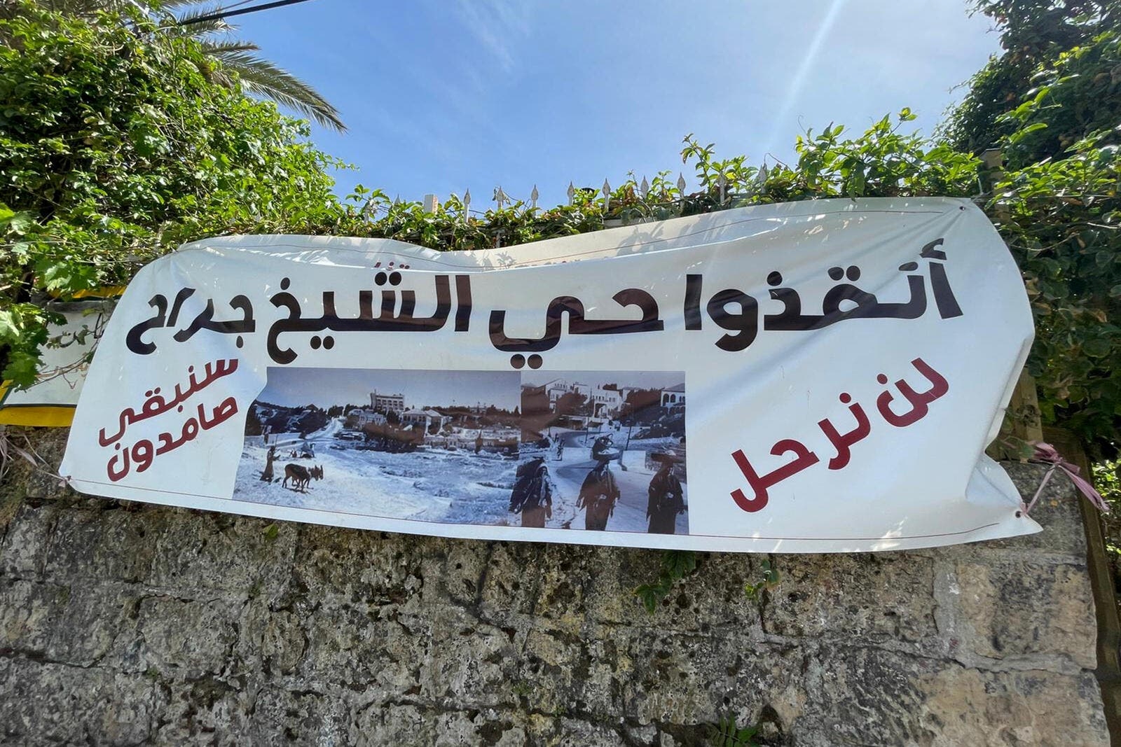 مستشار الرئاسة: لا يوجد أمامنا إلا الدفاع عن الشيخ جراح